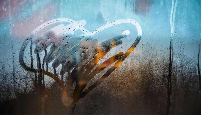 他犯了错，你是说、还是不说？