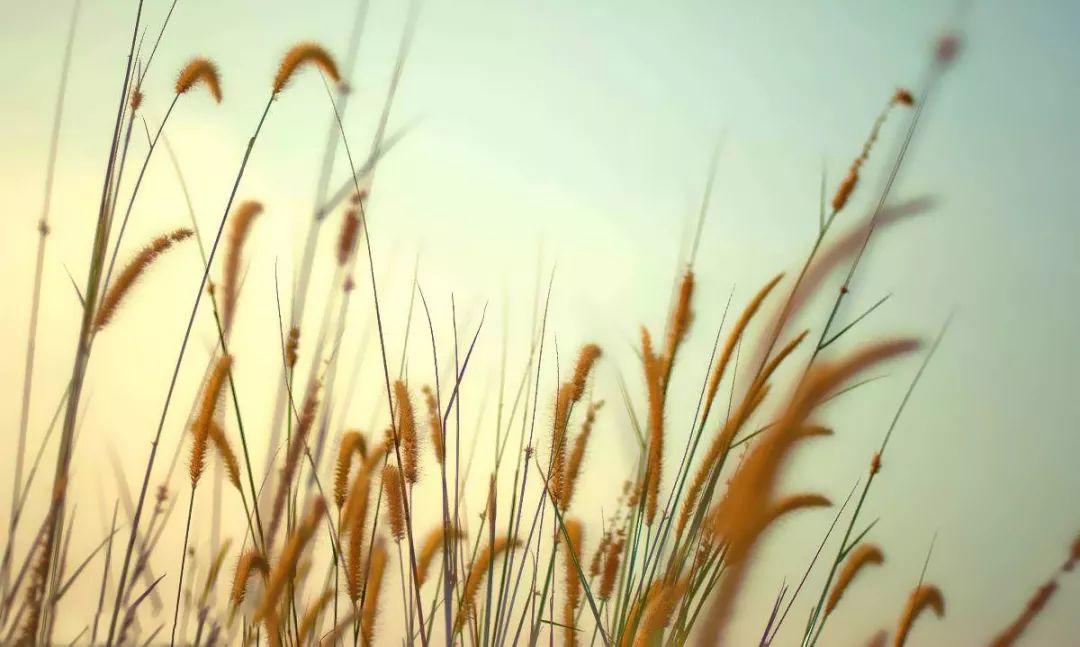 中国教会是到了该省思的时候了！  第12张