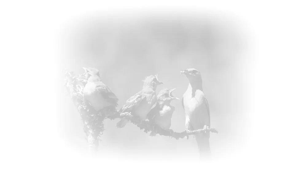 有信仰的人生不一样！[修订版]  第19张