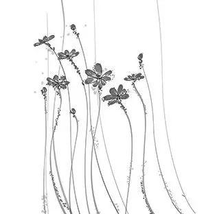 有信仰的人生不一样！[修订版]  第2张