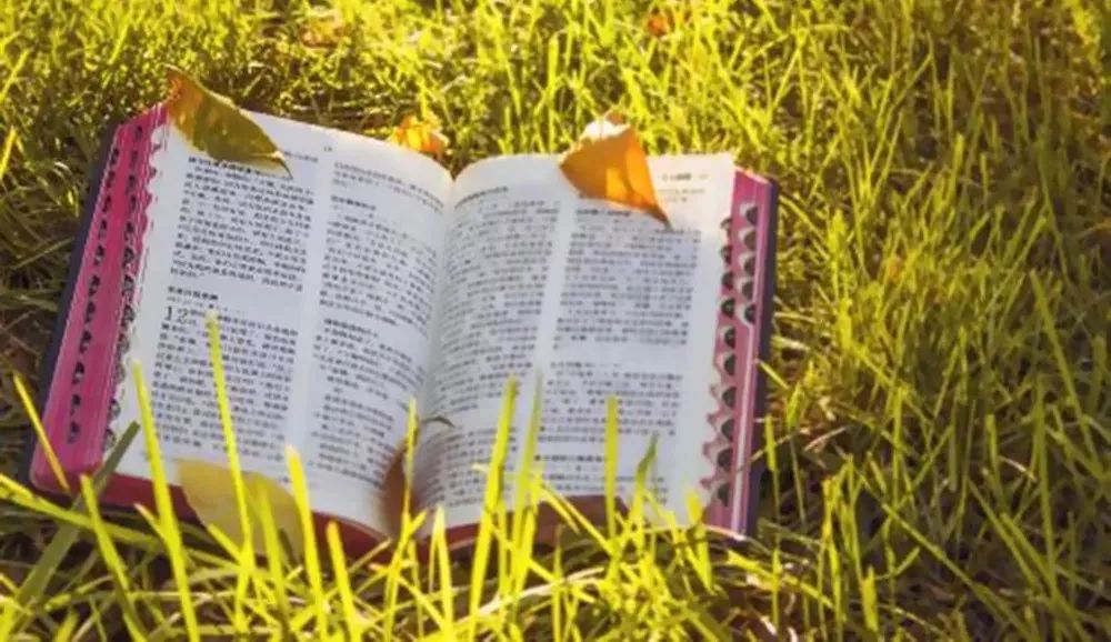 中国教会是到了该省思的时候了！  第10张