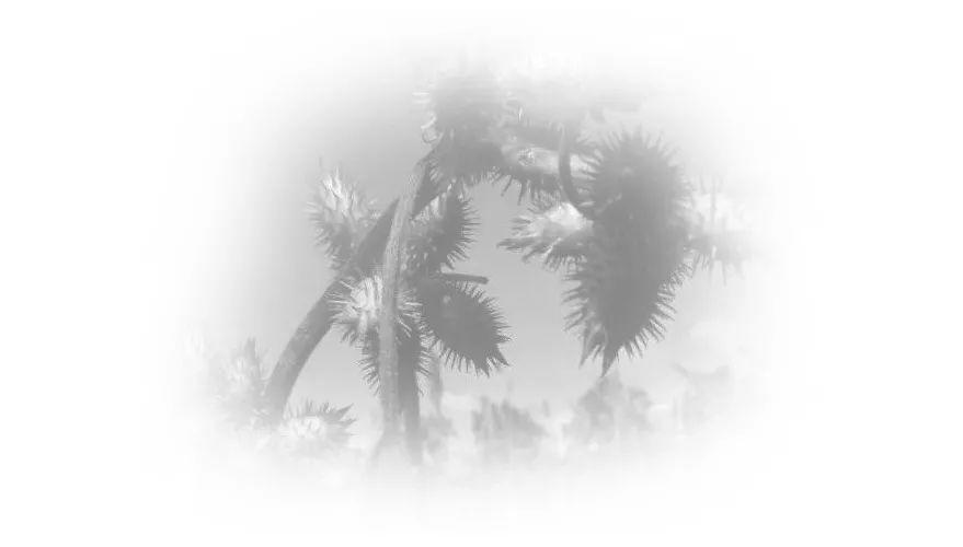 有信仰的人生不一样！[修订版]  第29张