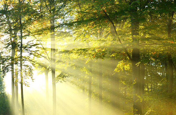 上帝如何奇妙的拯救了一名大学生! 第6张 上帝如何奇妙的拯救了一名大学生! 第6张