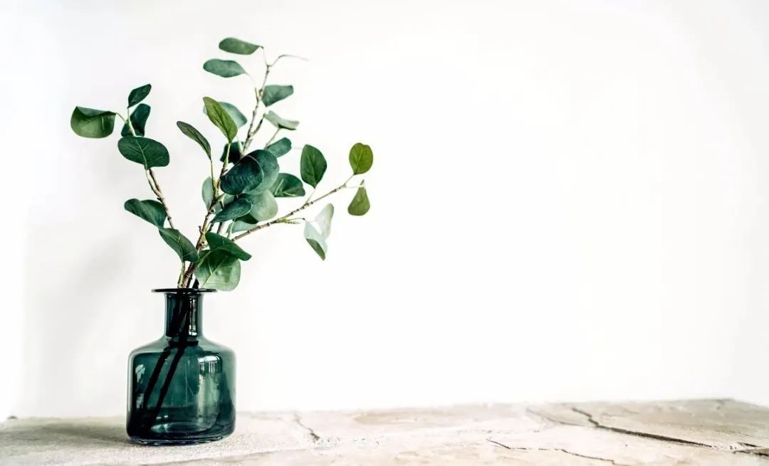 忧虑的“解药”……  第1张